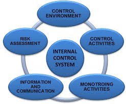 Internal Control System Design