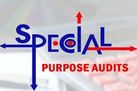 Special Purpose Audit