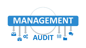 Management Audit